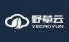 野草云 - 38元/月 KVM 1核 1G 20G 无限流量 2Mbps 香港直连