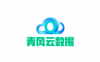 山东青风云数据 - 香港大浦NTT VPS 1核2G1M CN2 49/月 附VPS评测报告