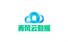 山东青风云数据 – 香港大埔NTT机房 CN2三网直连 1核2G 1M  69元/月